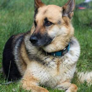 Fundraising Page: Heather Moses